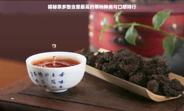 揭秘茶多酚含量更高的茶葉種類與口感排行