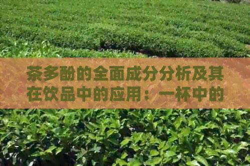 茶多酚的全面成分分析及其在飲品中的應(yīng)用：一杯中的科學(xué)秘密