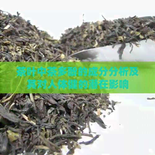 茶葉中茶多酚的成分分析及其對人體健的潛在影響