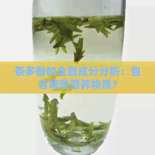茶多酚的全面成分分析：包含哪些营养物质？
