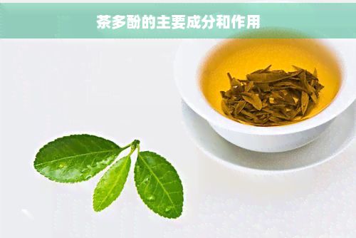 茶多酚的主要成分和作用