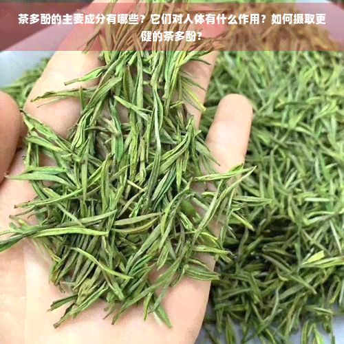 茶多酚的主要成分有哪些？它們對人體有什么作用？如何攝取更健的茶多酚？