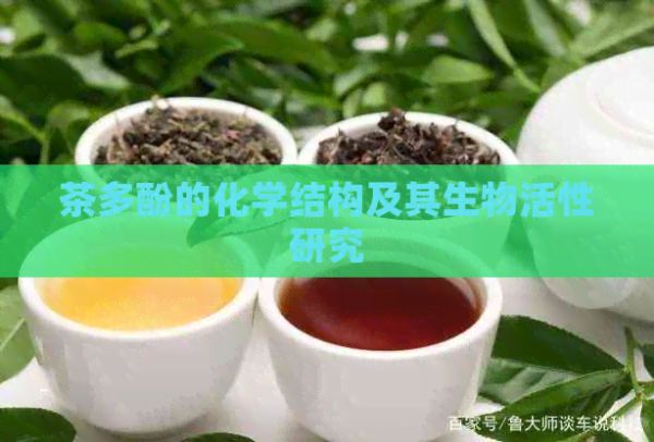 茶多酚的化學(xué)結(jié)構(gòu)及其生物活性研究