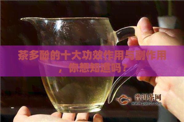 茶多酚的十大功效作用與副作用，你想知道嗎？