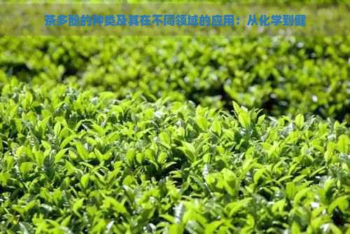 茶多酚的種類及其在不同領(lǐng)域的應(yīng)用：從化學(xué)到健