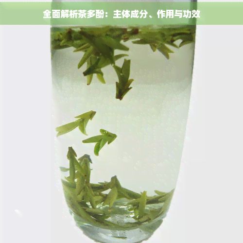 全面解析茶多酚：主體成分、作用與功效