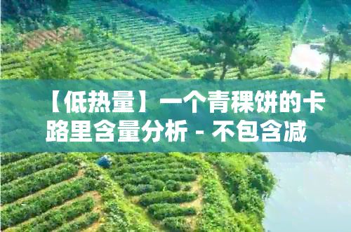 【低熱量】一個青稞餅的卡路里含量分析 - 不包含減肥和健