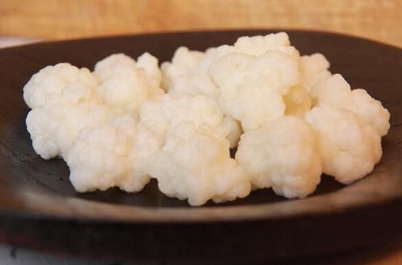 天山雪蓮菌