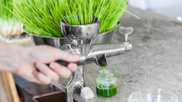 冬季吃什么家常菜好養(yǎng)生冬季五種養(yǎng)生保健家常菜任你選