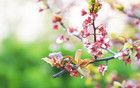 黑色垂釣11：宋老大被銷戶