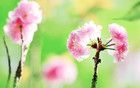黑色垂釣9：高佬發(fā)要加代給面子
