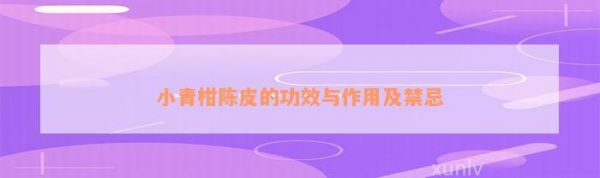 小青柑陳皮的功效與作用及禁忌