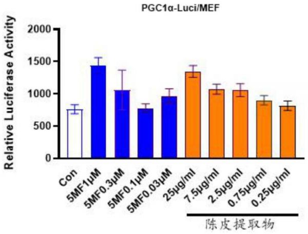 一種陳皮提取物及其靶向遞送制劑和用途