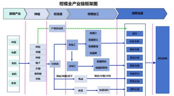 2024年柑橘纖維行業(yè)政策分析：柑橘纖維行業(yè)標(biāo)準(zhǔn)提供有力保障
