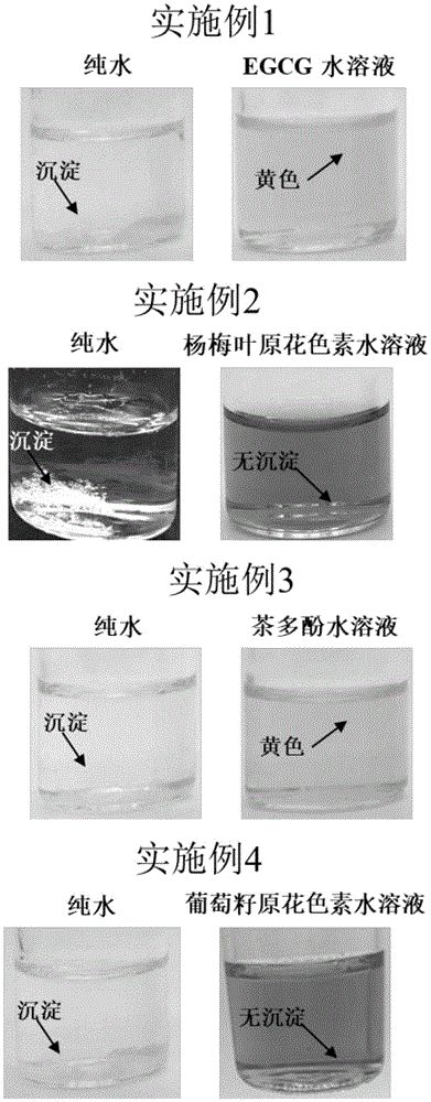 以親水性多酚增溶疏水性多酚的方法