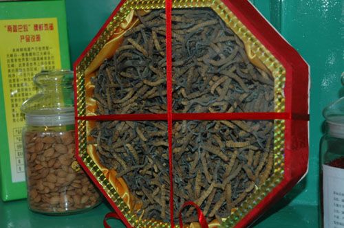 組圖：西藏特產(chǎn)“走紅”林芝貿(mào)洽會