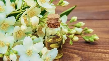 專業(yè)調(diào)香師入門第2課——精油提取方法詳解篇二（溶劑萃取法）