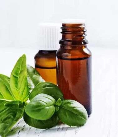 純植物化妝品廠家