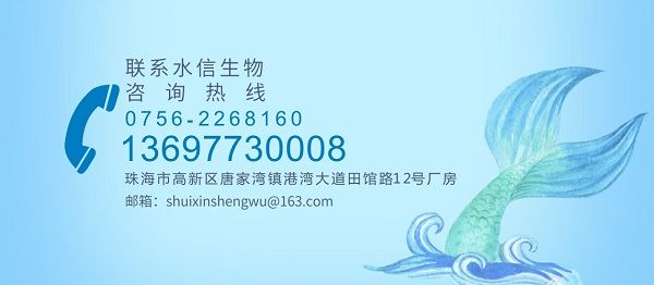 純植物化妝品廠家