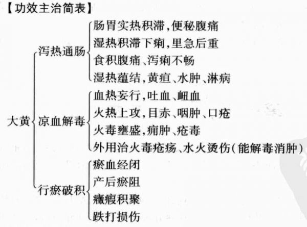 大黃的功效與作用