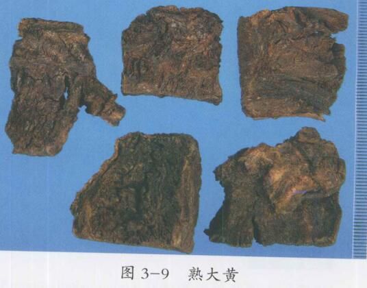 熟大黃