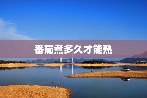 番茄煮多久才能熟
