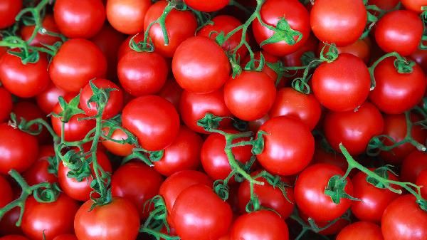 這樣吃西紅柿，助您輕松減肥