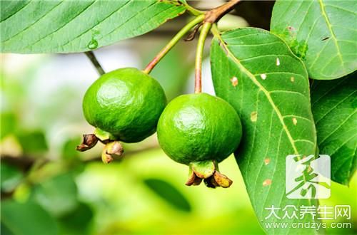 番石榴能降血糖嗎?怎么吃