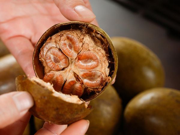 純奶手撕吐司的做法 步驟1