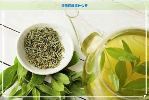 清肺润喉喝什么茶