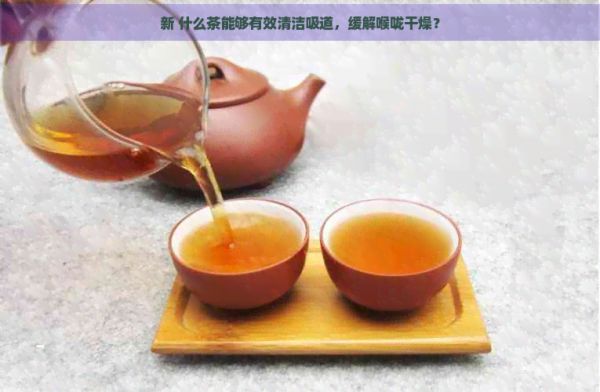 新 什么茶能够有效清洁吸道，缓解喉咙干燥？