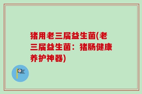 豬用老三屆益生菌(老三屆益生菌：豬腸健康養(yǎng)護(hù)神器)