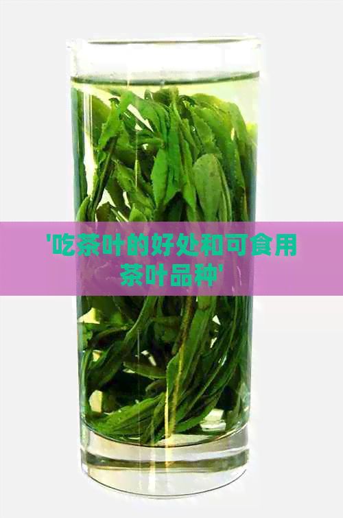 '吃茶葉的好處和可食用茶葉品種'