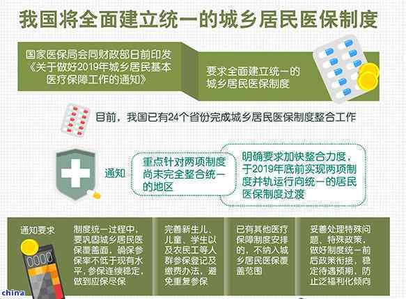 全面了解茶葉種類及其功效與作用：一份詳細(xì)圖表與圖片指南