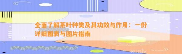 全面了解茶葉種類及其功效與作用：一份詳細(xì)圖表與圖片指南