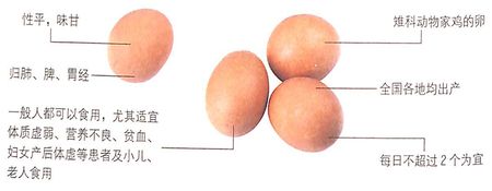 雞蛋的功效作用能延緩衰老,增強(qiáng)體質(zhì)