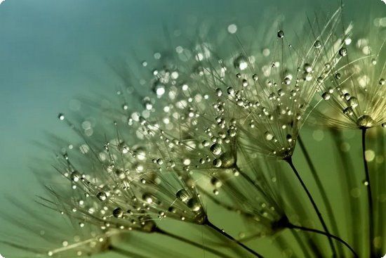 媽媽須知：雞蛋的多種健康吃法