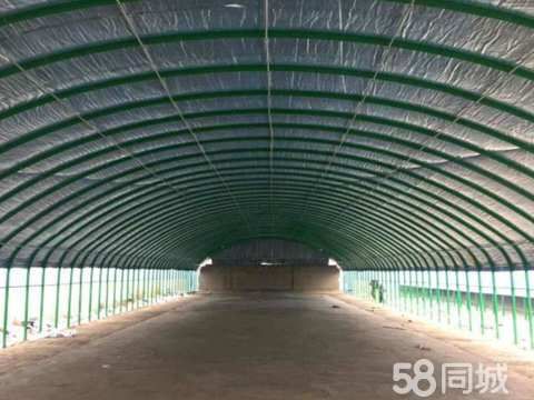 漳州畜禽养殖·畜牧副产品漳州地区批发各种大棚骨架上门定做各种养殖大棚种植大棚