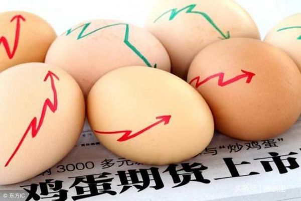 市場聚焦，雞蛋期貨01合約大漲背后的動(dòng)因分析