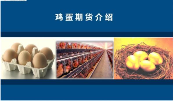 雞蛋期貨怎么做.png