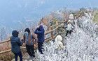 跌至0℃！廣東冷到結冰！下周還會更冷