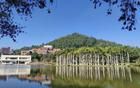 中國又有四所大學(xué)停辦，將徹底注銷，不再進行招生！