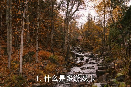 1. 什么是多游戲卡