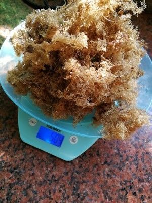 闽南人的最爱夏日清凉甜品海石花冻四果汤必备的做法步骤 第1步