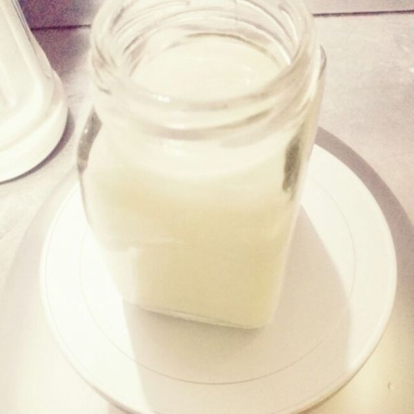 乳酸果冻