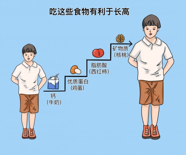 長高的食物有哪些.jpg