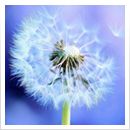 510-儿童长高食谱