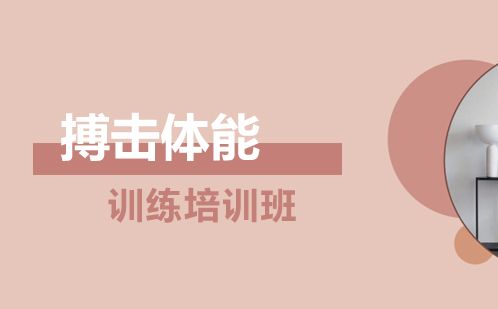 搏擊體能訓(xùn)練培訓(xùn)班