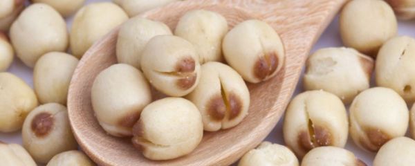 腸易激綜合征 腸易激綜合征 姜歸糖水 姜艾糖水 總是肚子痛 