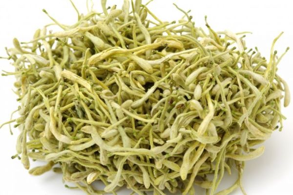 銀黃片的功效與作用 銀黃片使用說明書 銀黃片功能主治